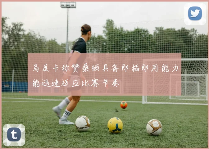 乌度卡称赞桑顿具备即插即用能力能迅速适应比赛节奏