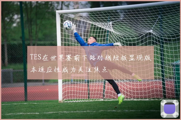 TES在世界赛前下路对线短板显现版本适应性成为关注焦点